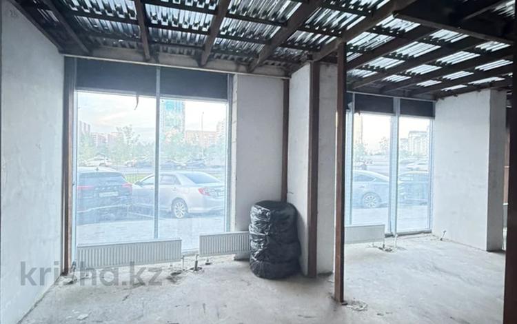 Еркін · 330 м², бағасы: 1.5 млн ₸ в Астане, Сарайшык р-н — фото 2