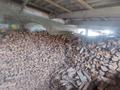 Фазенда,совсемиусловиями · 3000 м² за 85 млн ₸ в  — фото 11