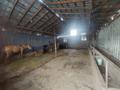 Фазенда,совсемиусловиями · 3000 м² за 85 млн ₸ в  — фото 12