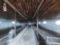 Фазенда,совсемиусловиями · 3000 м² за 85 млн ₸ в  — фото 24