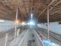 Фазенда,совсемиусловиями · 3000 м² за 85 млн ₸ в  — фото 41