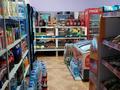 Магазины и бутики • 81.7 м² за 24 млн 〒 в Астане, Сарыарка р-н — фото 5