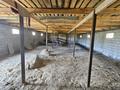 Дача · 2 комнаты · 100 м², Виноградная 5 — Красный камень за 21 млн ₸ в Талдыкоргане — фото 34