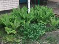 Часть дома · 4 комнаты · 105 м² · 1.42 сот., Акан Серы 94/4 — Международная за 55 млн ₸ в Алматы, Турксибский р-н — фото 22