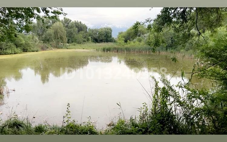 Жер телімі · 2.2 га, Ақтоғай, бағасы: 22 млн ₸ в Актогае (Дендрарий) — фото 2