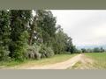 Жер телімі · 2.2 га, Ақтоғай, бағасы: 22 млн ₸ в Актогае (Дендрарий) — фото 3