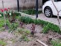 Жеке үй · 8 бөлме · 220 м² · 9.2 жүзд., 3 переулок Сорокина 7 — От церкви в направлении р. Талас, бағасы: 35 млн ₸ в Таразе — фото 22
