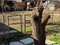 Жеке үй · 8 бөлме · 220 м² · 9.2 жүзд., 3 переулок Сорокина 7 — От церкви в направлении р. Талас, бағасы: 35 млн ₸ в Таразе — фото 5