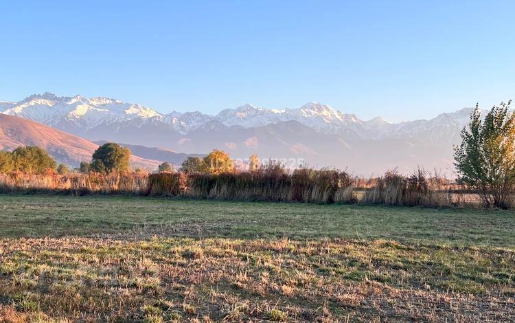 Участок · 1 га, Талгарский р-н за 35 млн 〒 в Алматинской обл. — фото 6