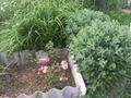 Дача · 3 комнаты · 45 м² · 6 сот., улица 10 дачи колос за 4 млн ₸ в Усть-Каменогорске — фото 9