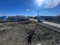 Участок · 12 соток, Затаевича 135 — 6 дачная, вторая улица от красноярской трассы за 10 млн ₸ в Кокшетау — фото 5