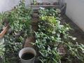 Жеке үй · 7 бөлме · 250 м² · 10 жүзд., Кенесары, бағасы: 80 млн ₸ в Кокшетау
