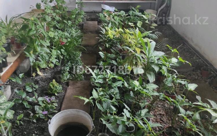 Жеке үй · 7 бөлме · 250 м² · 10 жүзд., Кенесары, бағасы: 80 млн ₸ в Кокшетау — фото 23