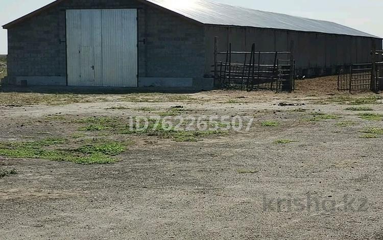 Өнеркәсіптік база · 13 га, 1 1, бағасы: 35 млн ₸ в Айсары — фото 2