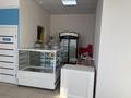 Свободное назначение, магазины и бутики · 30 м² за 250 000 ₸ в Астане, Сарыарка р-н — фото 3