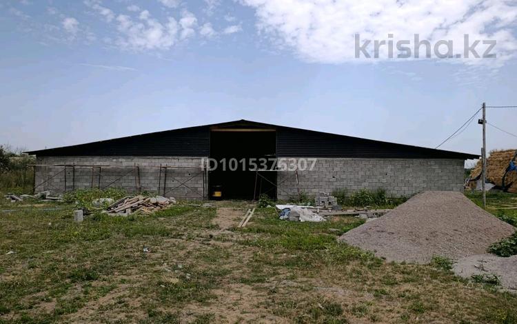 Жер телімі · 6 га, Қырбалтабай, бағасы: 150 млн ₸ в  — фото 2