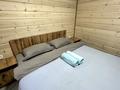 Дом · 3 комнаты · 50 м², Шашу за 50 000 ₸ в Усть-Каменогорске, Ульбинский — фото 17