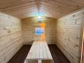 Дом · 3 комнаты · 50 м², Шашу 349 за 50 000 ₸ в Усть-Каменогорске, Ульбинский — фото 23