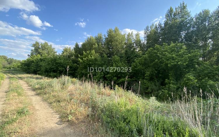Участок · 9 соток, СК Зооветснаб-2 4 — База отдыха Green Land за 2 млн ₸ в Актобе, жилой массив Кирпичный — фото 2