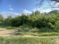 Участок · 9 соток, СК Зооветснаб-2 4 — База отдыха Green Land за 2 млн ₸ в Актобе, жилой массив Кирпичный — фото 9
