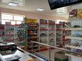 Магазины и бутики, склады · 450 м² за 170 млн ₸ в Гродеково — фото 5