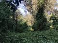 Участок · 7 соток, СТ полиграфист 29/1 за 15.5 млн ₸ в Алматы, Медеуский р-н — фото 10