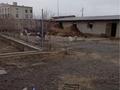 Жер телімі · 10 сотық, Тоған 36 — Приздент саябағының арты, бағасы: 20 млн ₸ в Туркестане — фото 2
