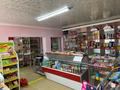 Отдельный дом · 6 комнат · 200 м² · 15 сот., Мкр жетису улица Кошкарбаев 28 за ~ 65.7 млн ₸ в Шу — фото 16