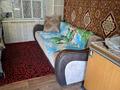 Дача · 1 комната · 10 м² · 5 сот., Центральная пл. 263 — Каштан за 5 млн ₸ в Петропавловске — фото 5
