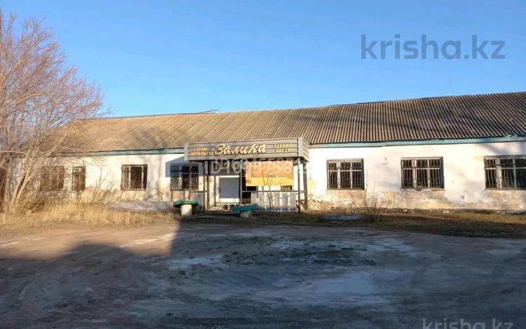 Свободное назначение · 400 м² за 15 млн ₸ в Макинске — фото 2