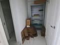 Свободное назначение, офисы, магазины и бутики, салоны красоты · 30 м² за 280 000 ₸ в Астане, Алматы р-н — фото 7