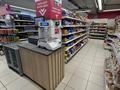 Свободное назначение · 1007 м² за 450 млн ₸ в Астане, Алматы р-н — фото 5