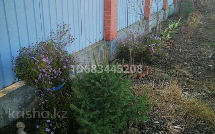 Жеке үй · 3 бөлме · 140 м² · 38 жүзд., Құрылысшылар — Ертис, бағасы: 41 млн ₸ в Герасимовке — фото 78
