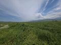 Жер телімі · 29 га, Абайлл без номера — Абайлл, бағасы: 43.5 млн ₸ в Тюлькубасе