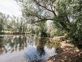 Жеке үй · 10 бөлме · 800 м² · 12 жүзд., Жагажай 26, бағасы: 350 млн ₸ в Астане, Алматы р-н — фото 15