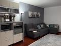 Жеке үй · 4 бөлме · 275.1 м² · 0.4 жүзд., Орманова 105Б, бағасы: 133 млн ₸ в Алматы, Медеуский р-н — фото 3