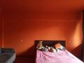 3-бөлмелі пәтер · 80.2 м² · 4/5 қабат, Жарокова 167, бағасы: 65 млн ₸ в Алматы, Бостандыкский р-н — фото 10