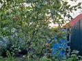 Жеке үй · 3 бөлме · 156.1 м² · 9 жүзд., Нуржанова — Пересечение улиц с центрального заезда и 10 линий, (средний квартал), бағасы: 40 млн ₸ в Павлодаре — фото 27