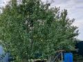 Жеке үй · 3 бөлме · 156.1 м² · 9 жүзд., Нуржанова — Пересечение улиц с центрального заезда и 10 линий, (средний квартал), бағасы: 40 млн ₸ в Павлодаре — фото 29