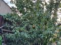 Жеке үй · 3 бөлме · 156.1 м² · 9 жүзд., Нуржанова — Пересечение улиц с центрального заезда и 10 линий, (средний квартал), бағасы: 40 млн ₸ в Павлодаре — фото 32