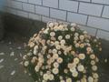 Жеке үй · 3 бөлме · 156.1 м² · 9 жүзд., Нуржанова — Пересечение улиц с центрального заезда и 10 линий, (средний квартал), бағасы: 40 млн ₸ в Павлодаре — фото 44