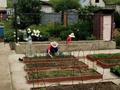 Саяжай · 3 бөлме · 84 м² · 6 сот., Магистральная 44 — Между городом и пос Касым-Кайсенова, бағасы: 4.5 млн ₸ в Усть-Каменогорске — фото 24