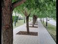2-комнатная квартира · 82 м² · 1/4 этаж, Жалайри 34 за 72 млн ₸ в Астане, Алматы р-н — фото 29