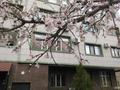 3-комнатная квартира · 73.6 м² · 9/10 этаж, Байтурсынова 58 за 31.9 млн ₸ в Шымкенте, Аль-Фарабийский р-н — фото 11