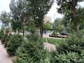 3-комнатная квартира · 52 м² · 5/16 этаж, Торайгырова 19а за 50.5 млн ₸ в Алматы, Бостандыкский р-н — фото 25