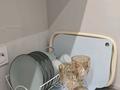 2-комнатная квартира · 46 м² · 2/14 этаж, Байтурсынова 6 — Сагадат Нурмагамбетов за 20 000 ₸ в Астане, Сарайшык р-н — фото 9