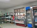 Магазины и бутики • 100 м² за 15 млн 〒 в Нарынколе — фото 4