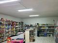 Магазины и бутики • 100 м² за 15 млн 〒 в Нарынколе — фото 8