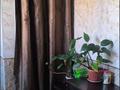 Отдельный дом · 2 комнаты · 85 м² · 12.5 сот., Баржықбаева 28 — По тугису можете за 47 млн ₸ в Туздыбастау (Калинино) — фото 32