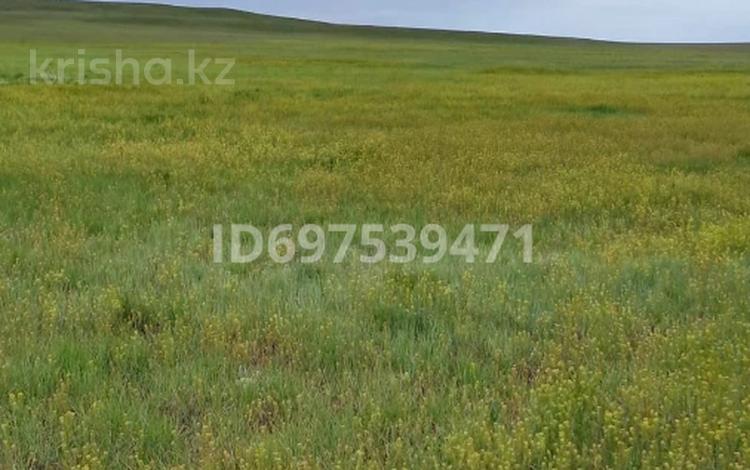 Участок · 4900 га, Жалгыста 49 за 220.5 млн 〒 в Улытау обл. — фото 2